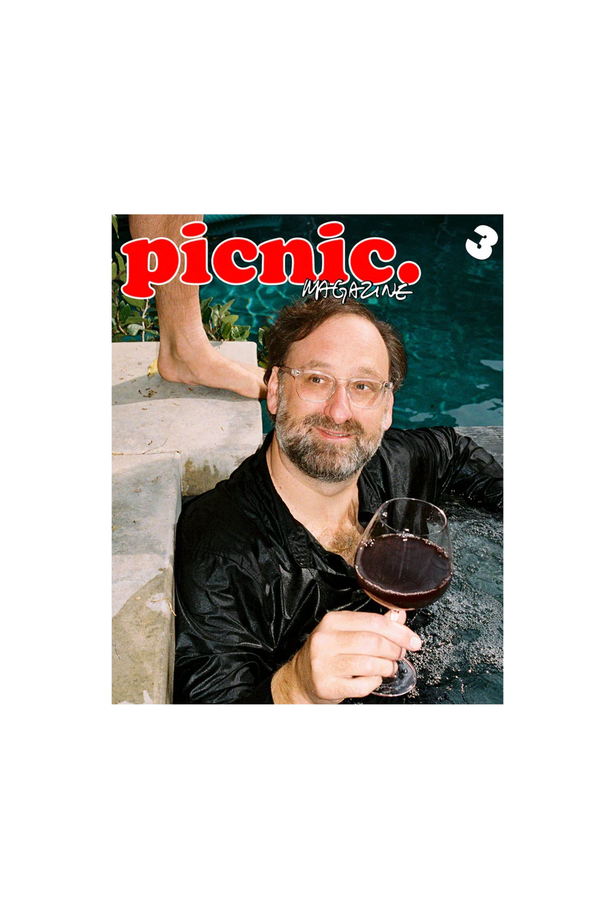 Picnic #3 - The Hollywood Issue